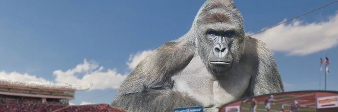 alex_walker3's profile banner image