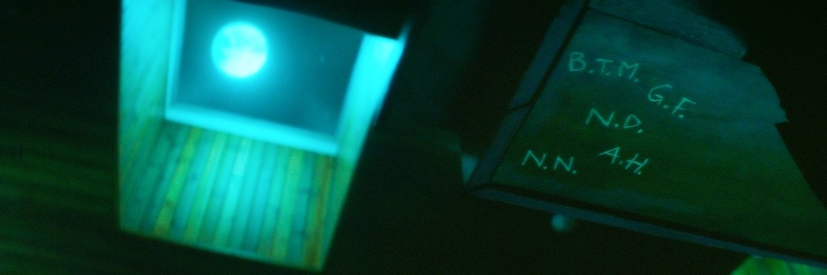 Paige (Nace Always. Forever. 💙) banner