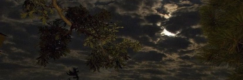 fat_tem's profile banner image