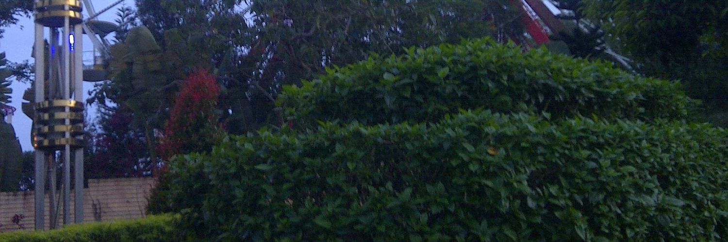 ramadhani3l's profile banner image