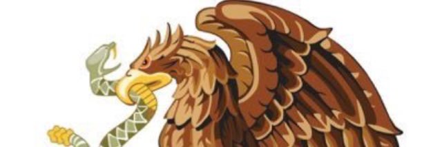 wrtwill's profile banner image