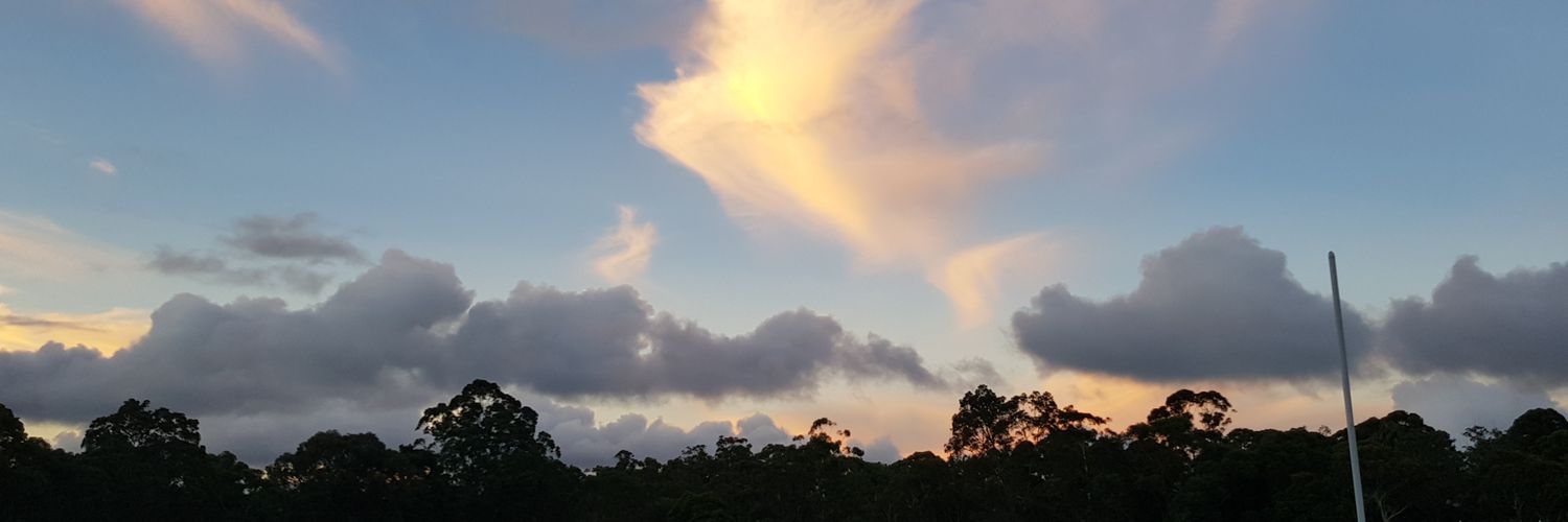Em_Bee777's profile banner image