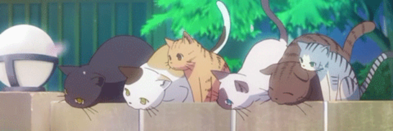 豪鬼猫🐈 banner