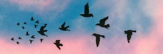 Priiiincess2's profile banner image