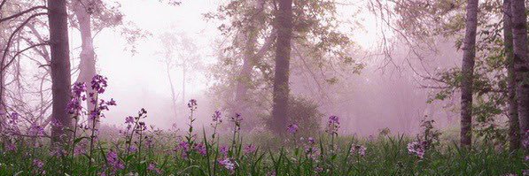 __danielalizeth's profile banner image