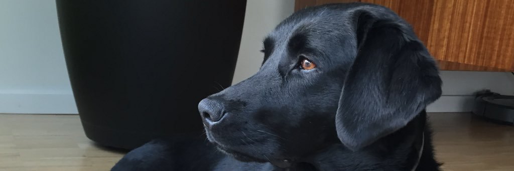 KCitters's profile banner image