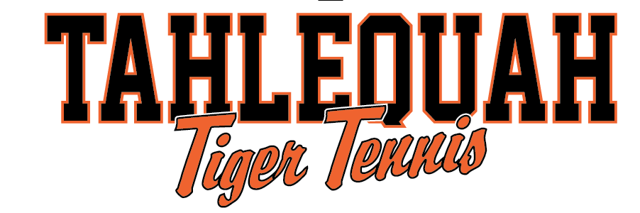 TnnsTigers's profile banner image