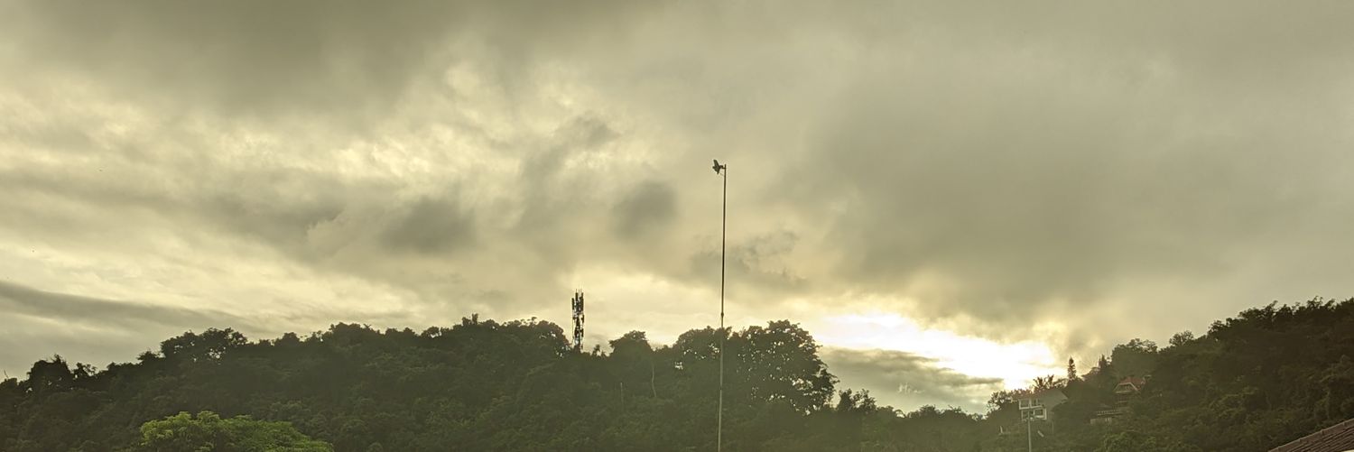 searleLira's profile banner image
