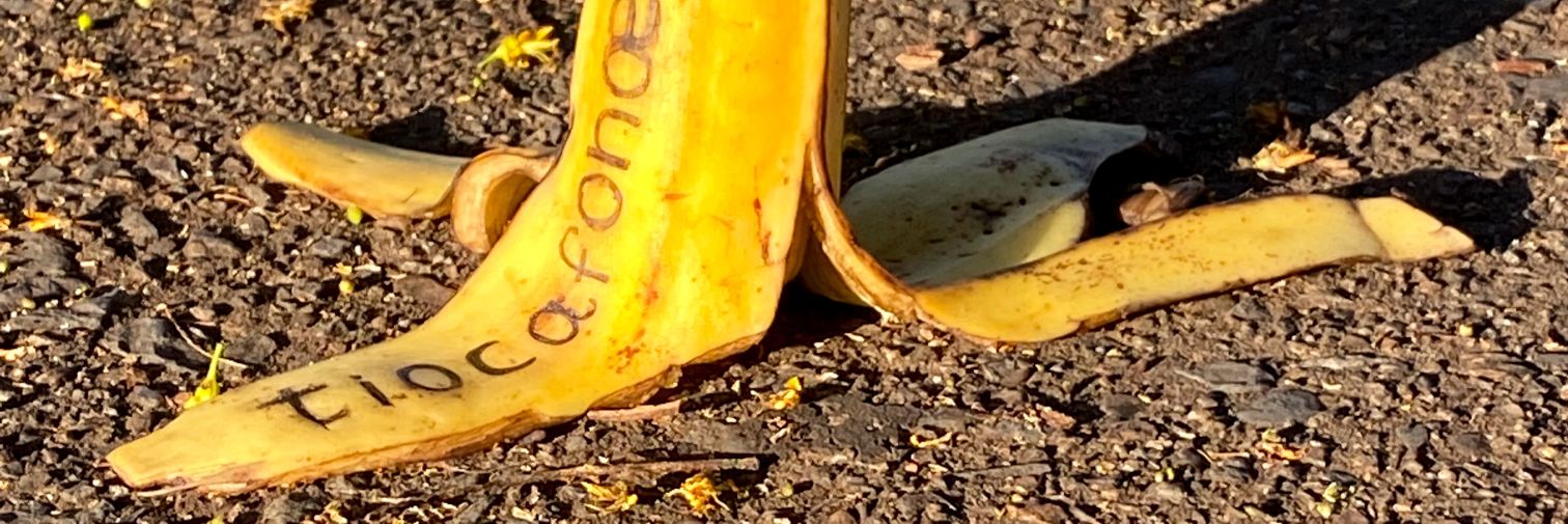 tiocafona's profile banner image