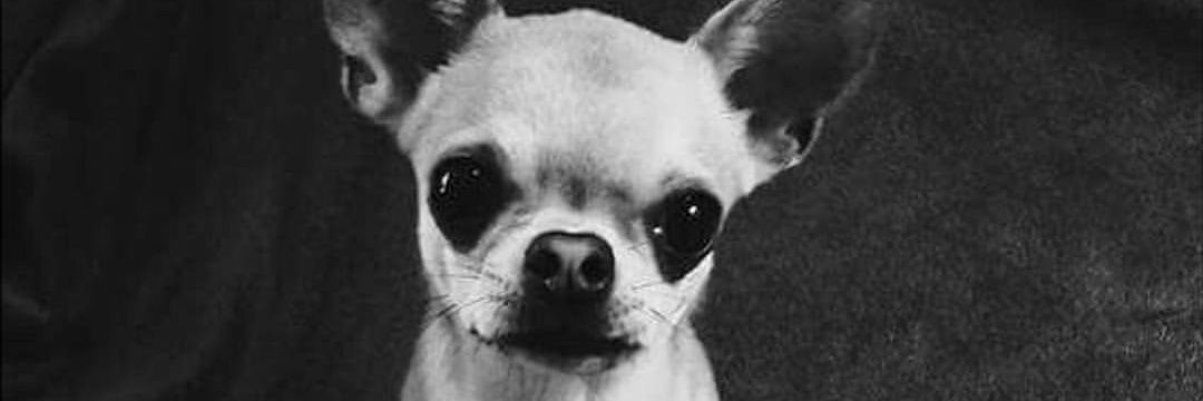criispaa's profile banner image