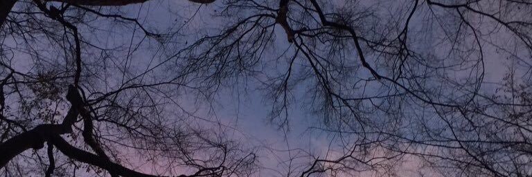 LEMON_TR33's profile banner image