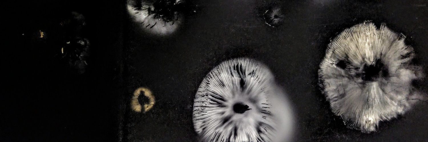annafli's profile banner image