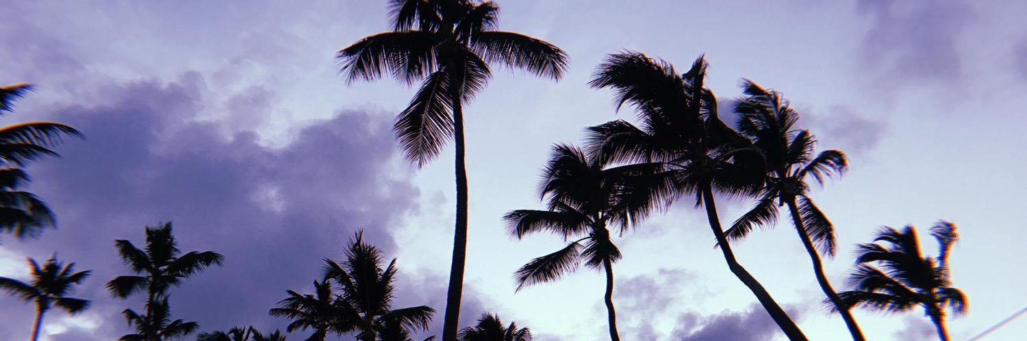 rosaamcl's profile banner image