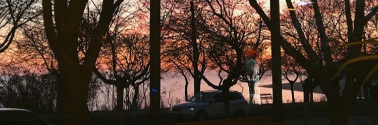 blaaaack_mamba's profile banner image
