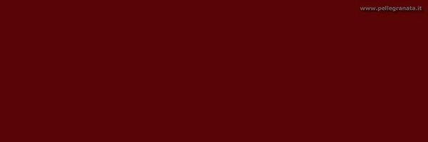 mattiafeltri Profile Banner