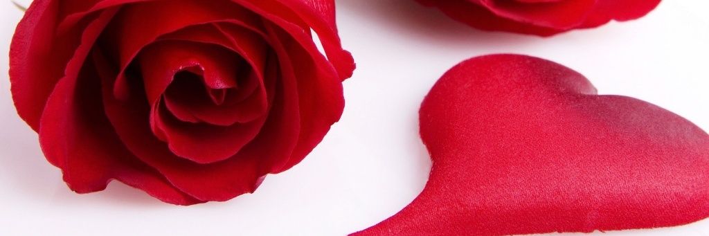 abobandar2003's profile banner image