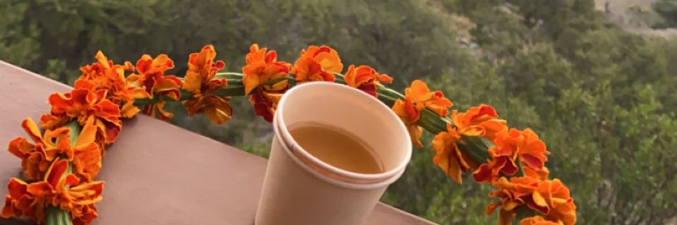 laaml40438's profile banner image