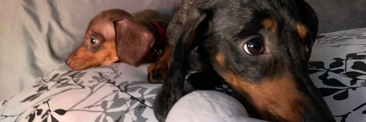 _rocastillo_'s profile banner image