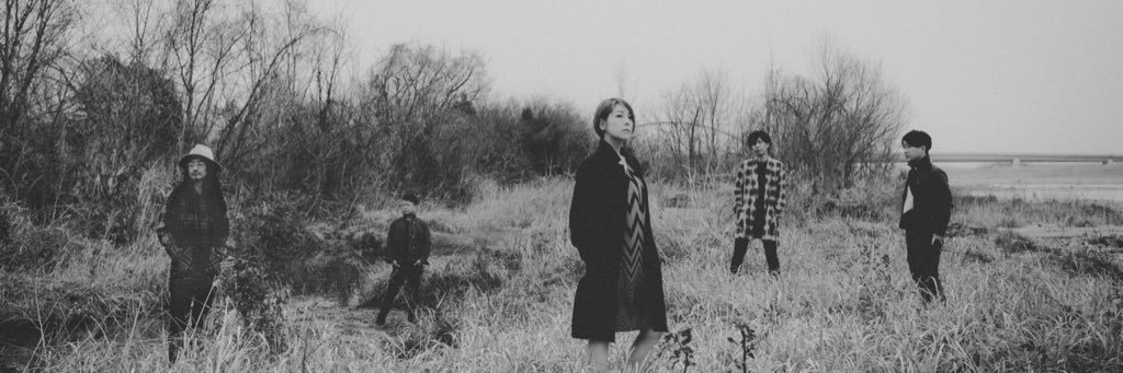 lalalarks's profile banner image