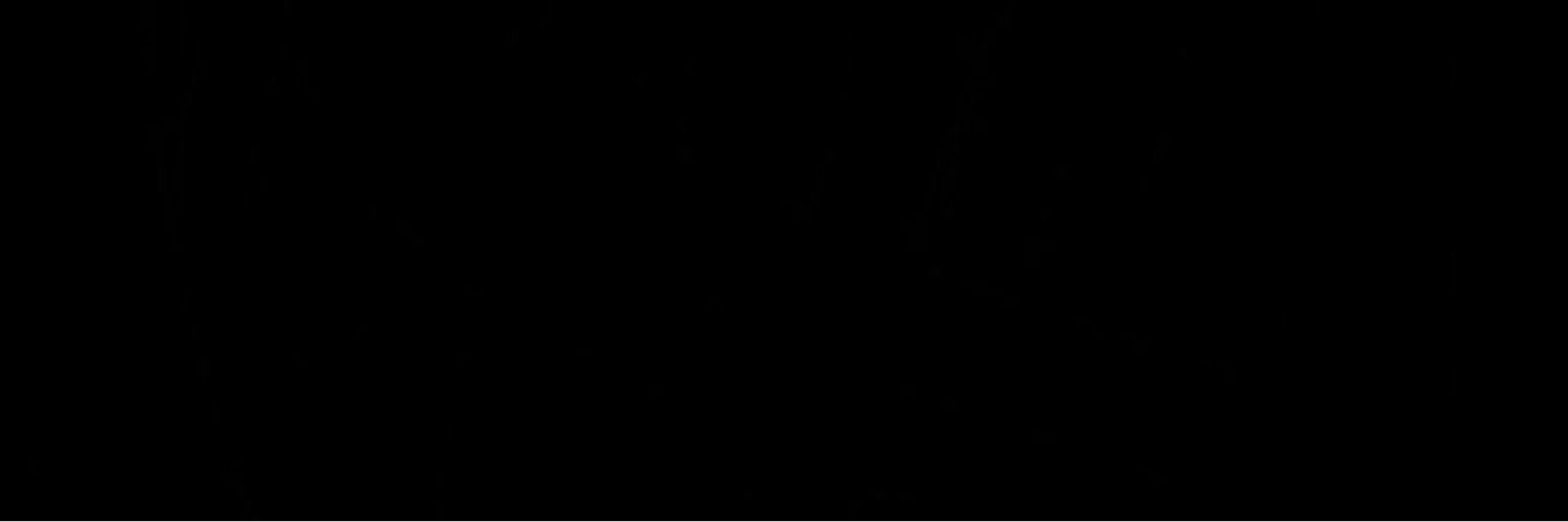 sbrclemens's profile banner image