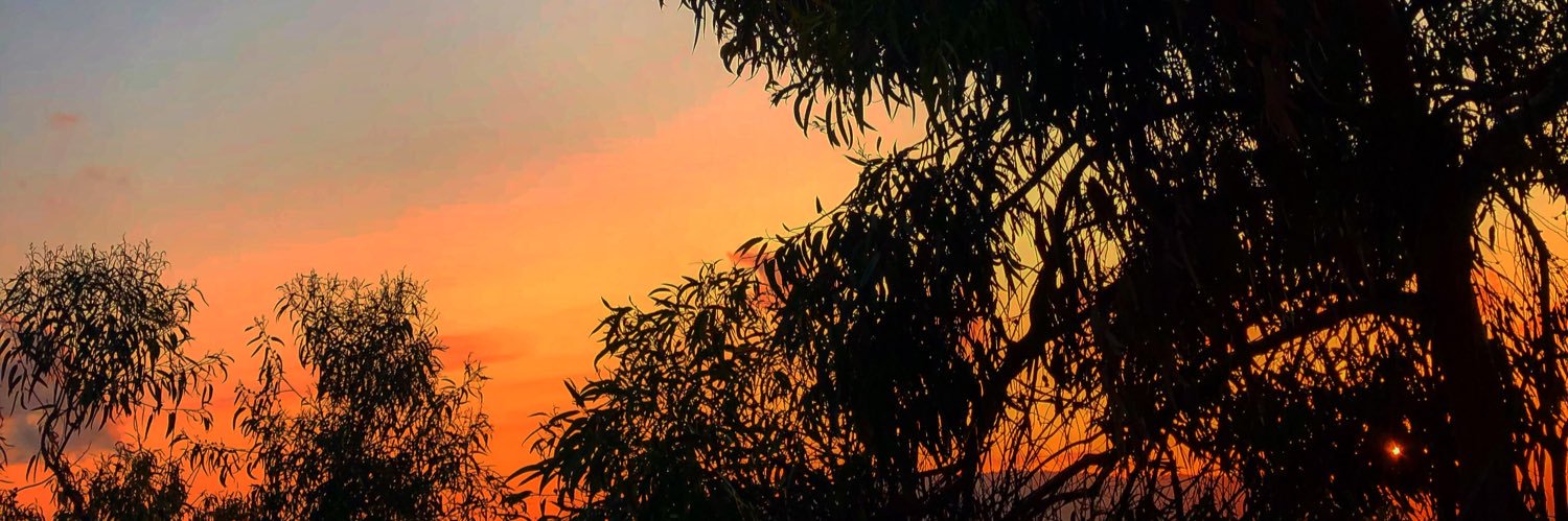 _CarolineDk_'s profile banner image