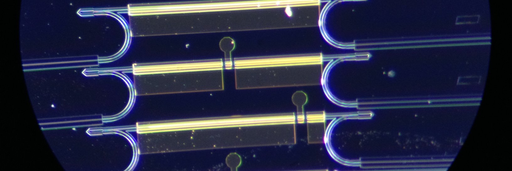 guillering's profile banner image