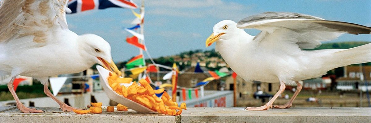 PoussyIV's profile banner image
