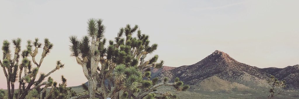 aannatheaa's profile banner image