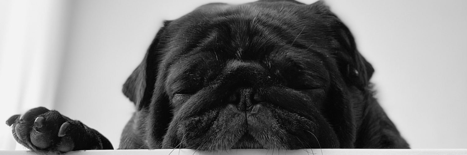 h6miee's profile banner image