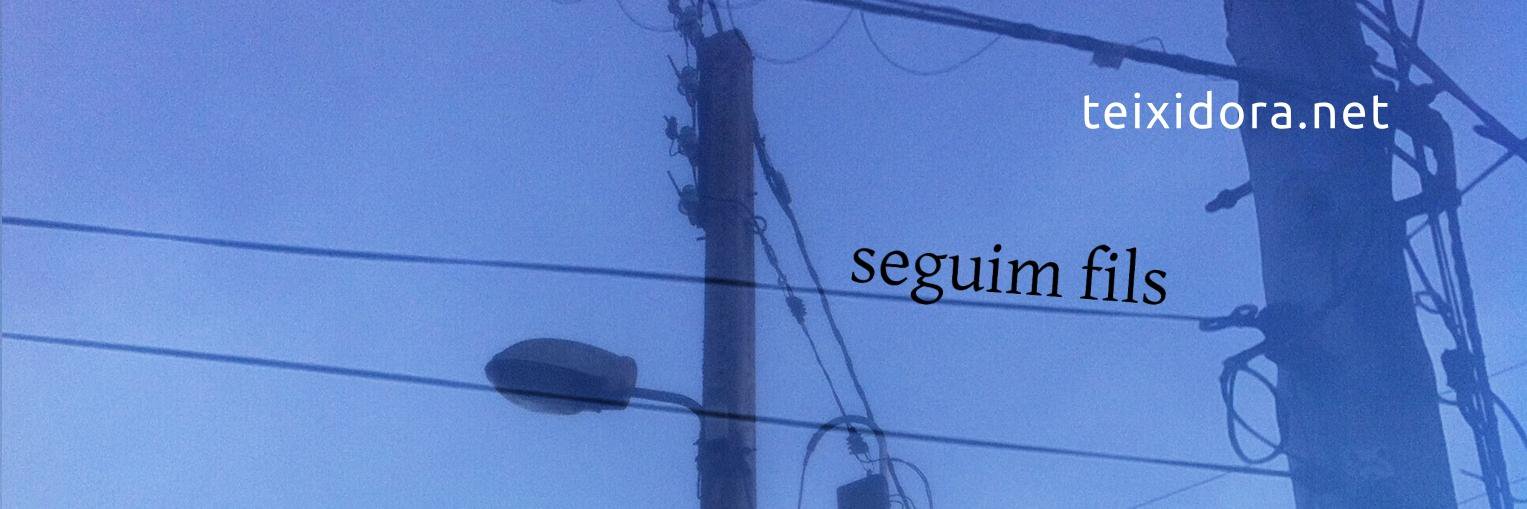 teixidora.net banner