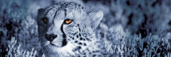 savenuescom Profile Banner