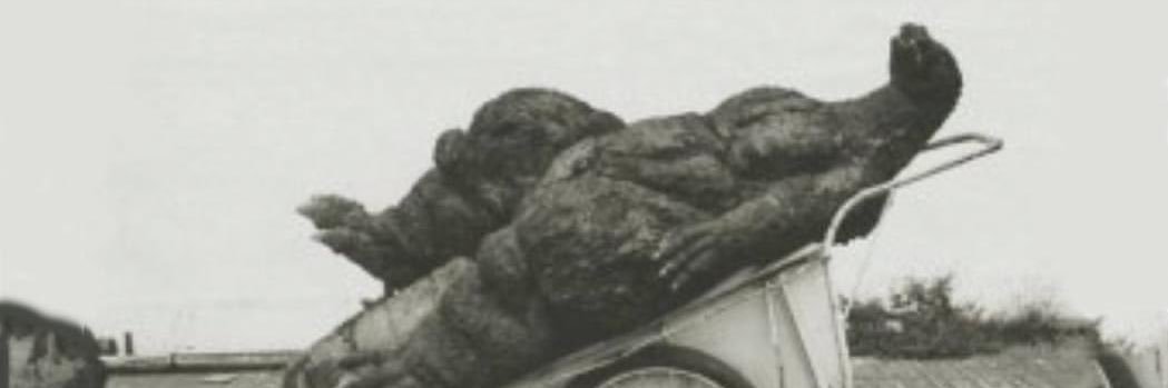 _jfagg's profile banner image