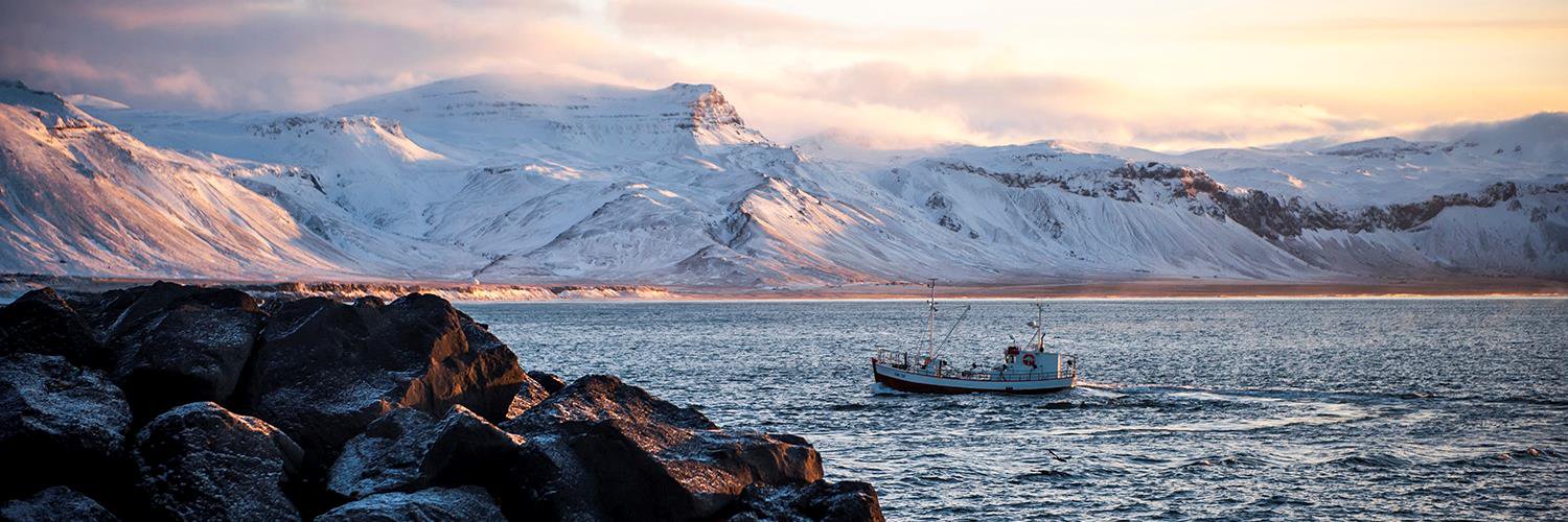 IcelandicSea's profile banner image