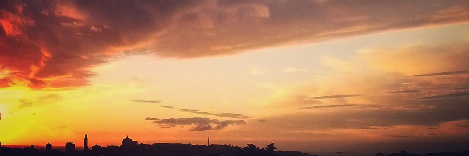 ma_du_vin's profile banner image