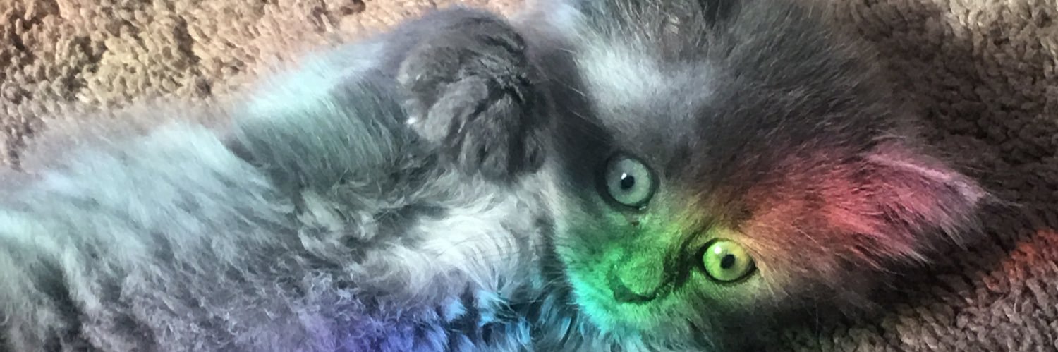 AVeniseM's profile banner image