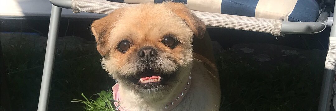 libbybakerxo's profile banner image