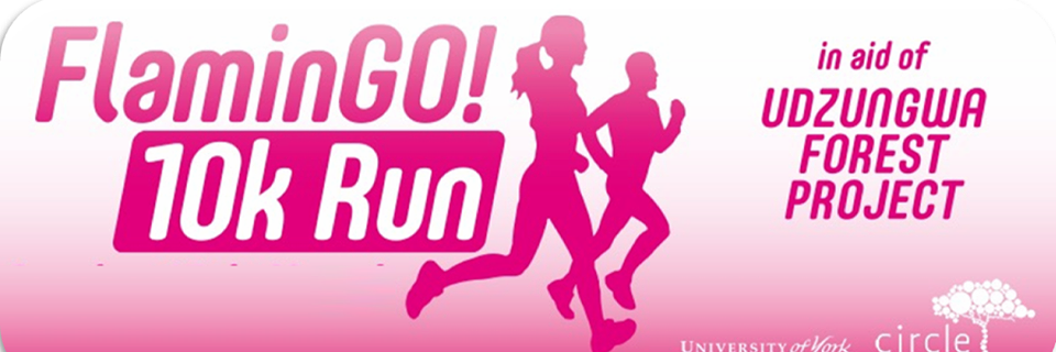 Flamingo10Krun's profile banner image