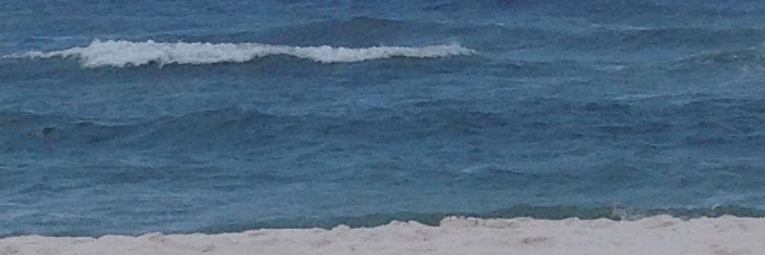 monicaspade's profile banner image