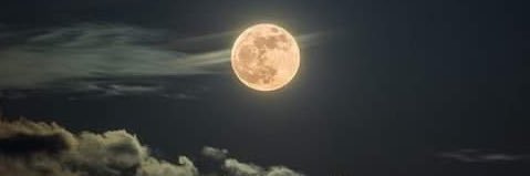 humakiani8's profile banner image