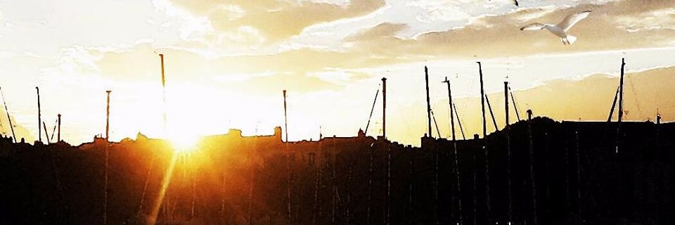 PatteMaxence's profile banner image