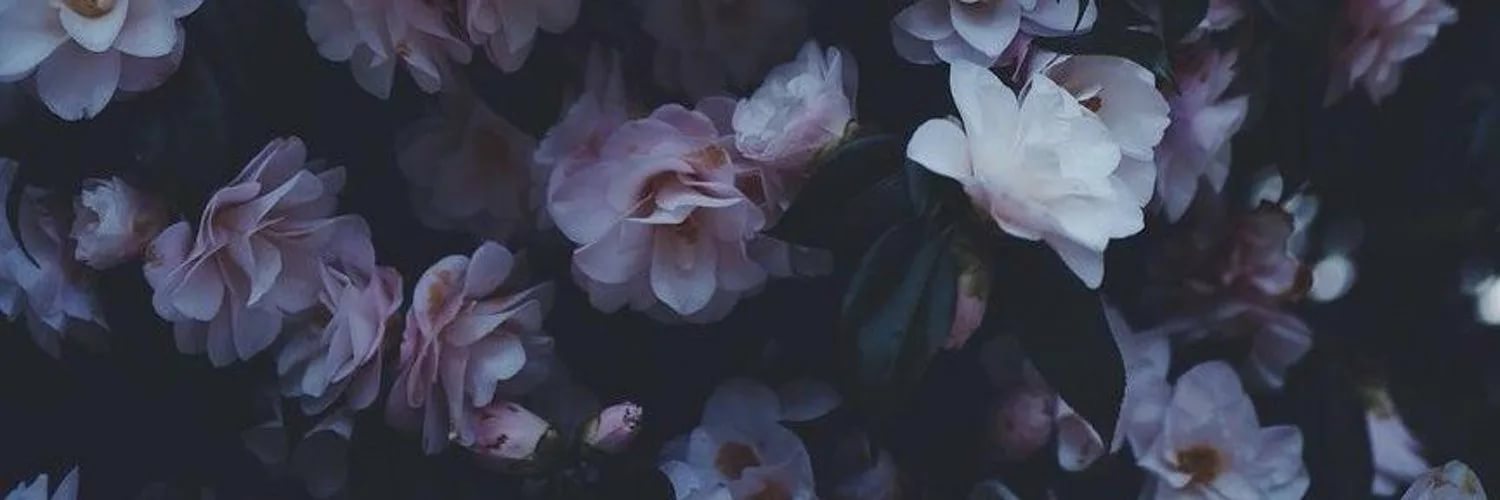 Lil_Ani69's profile banner image
