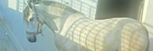 mcarmen586's profile banner image