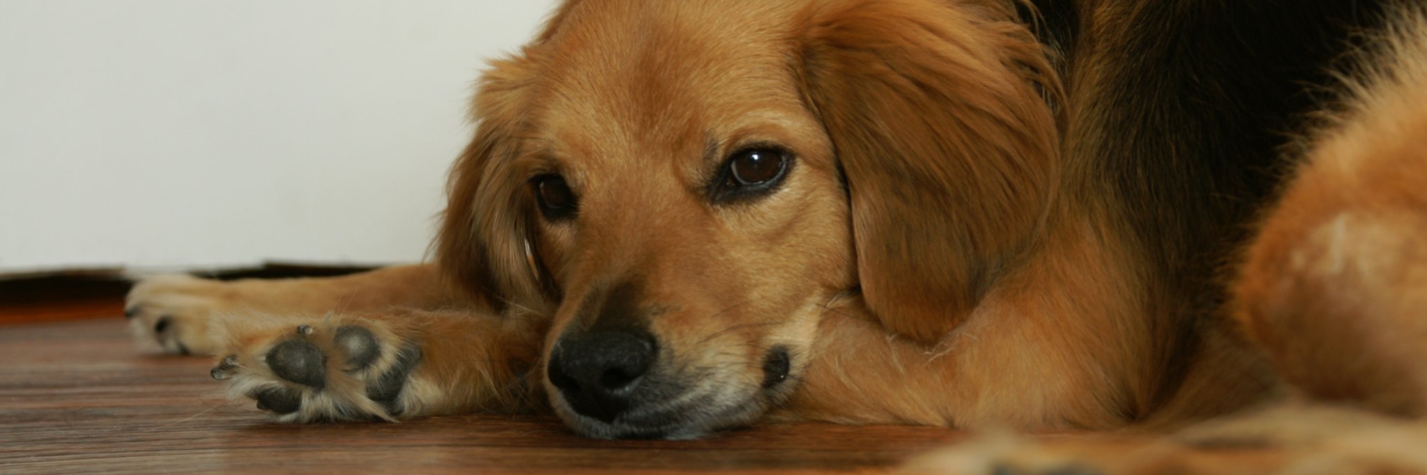 jscottmiller's profile banner image