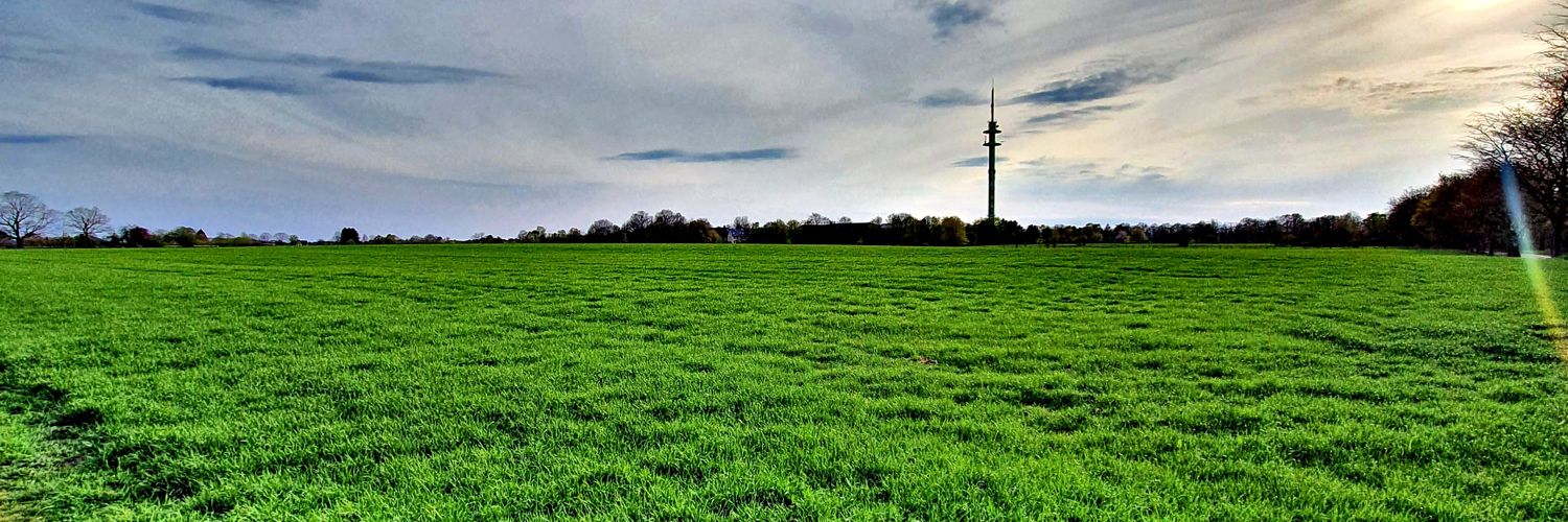 mhf_gerdau's profile banner image