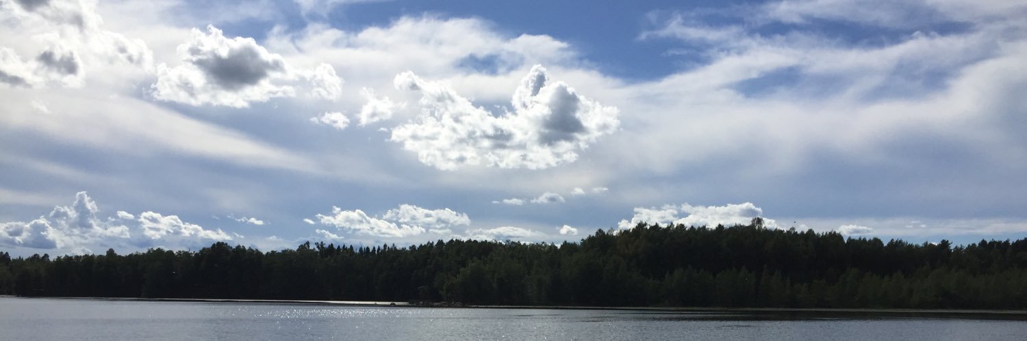 Matti Pastell banner