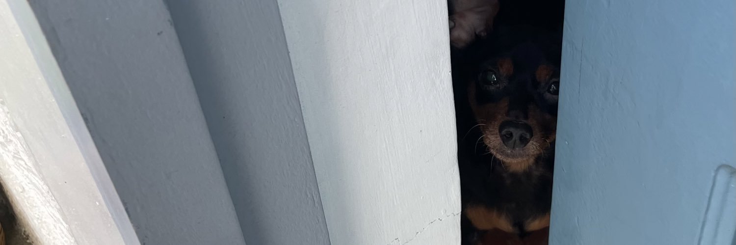 rainbart's profile banner image