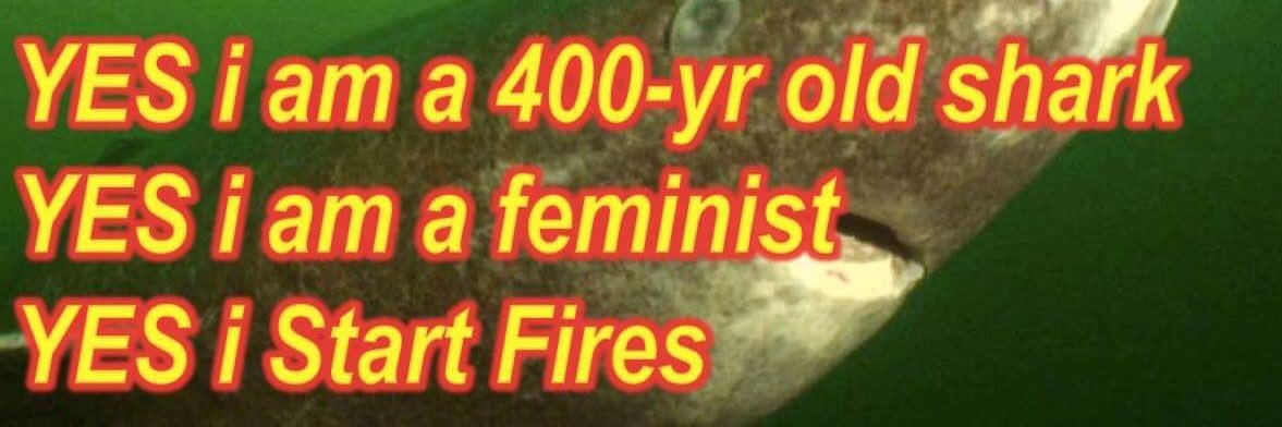 SavSteffke's profile banner image