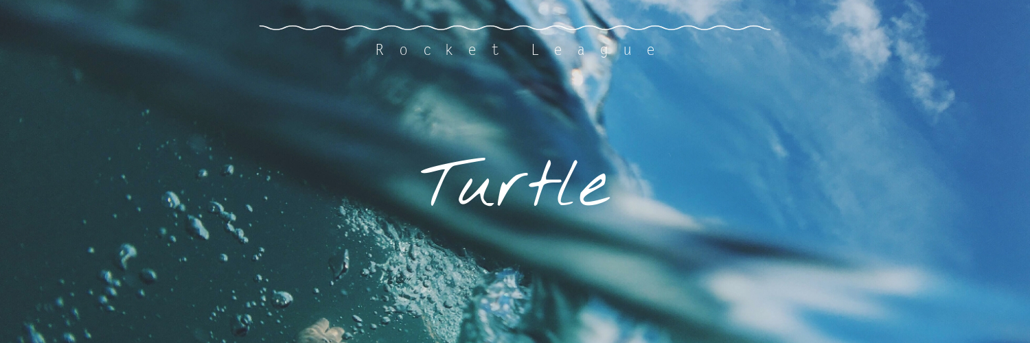 TurtleRL_'s profile banner image