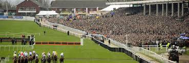 TheRacingTipsUK's profile banner image