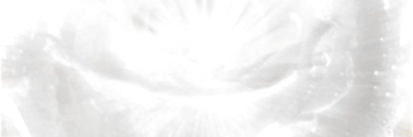 njoudtmt's profile banner image